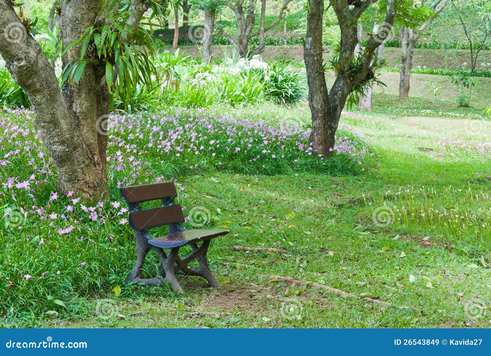 Bench in the Flower Garden. Stock Image Image of landscaping, path 26543849