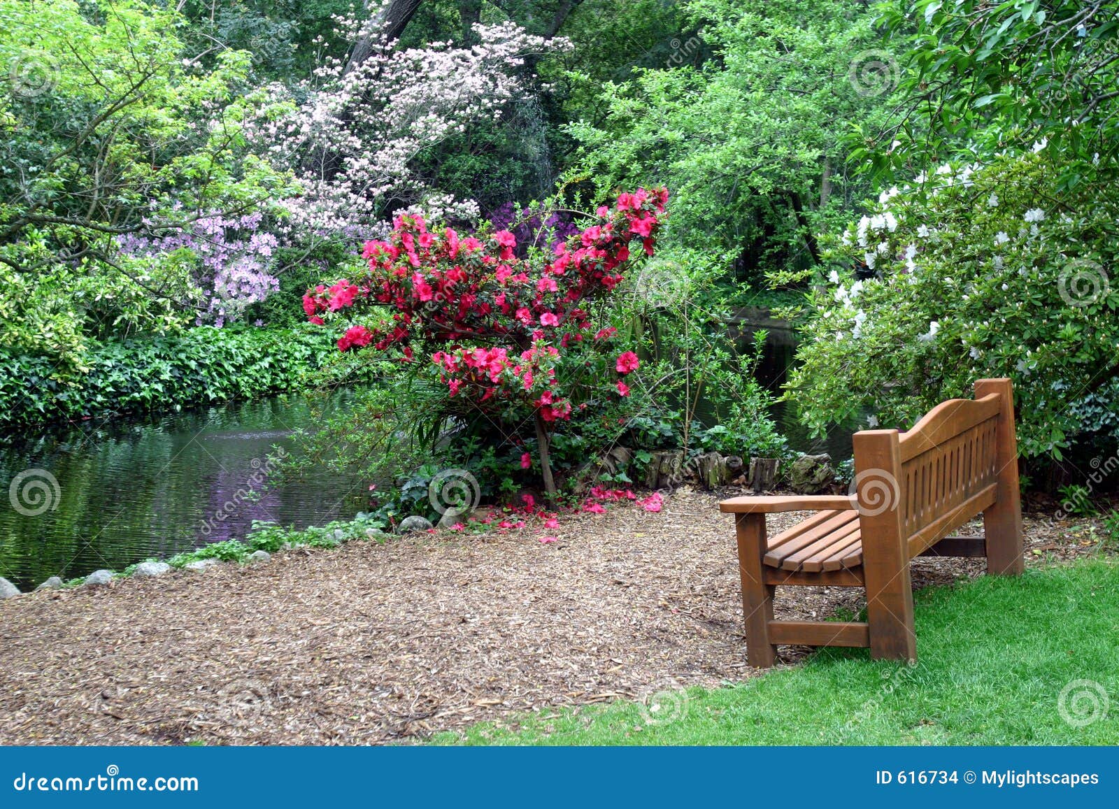 bench in the garden