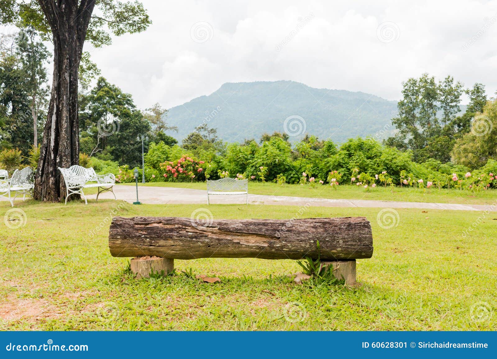 Bench In Garden Background Stock Image Image Of Nature 60628301 dreamstime com