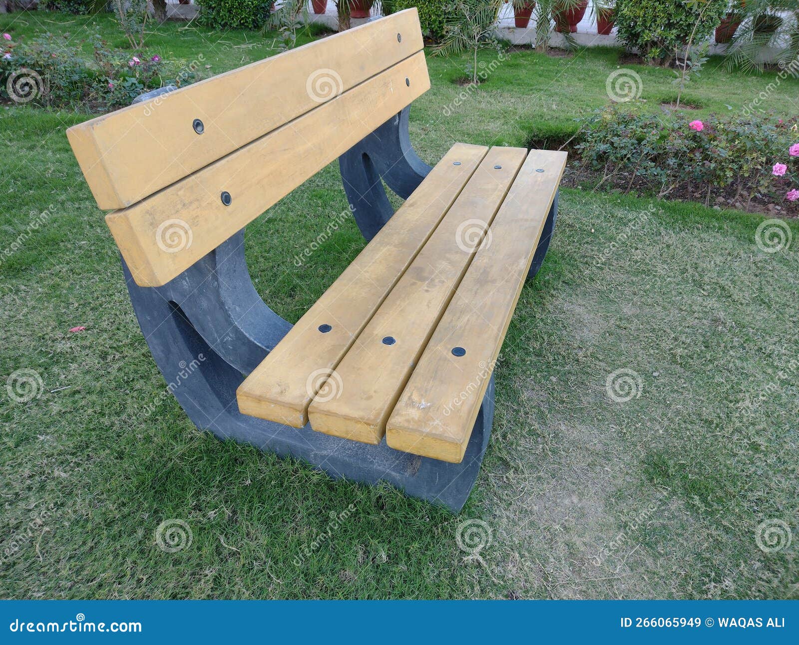 Bench garden park day stock image. Image of bench, background 266065949