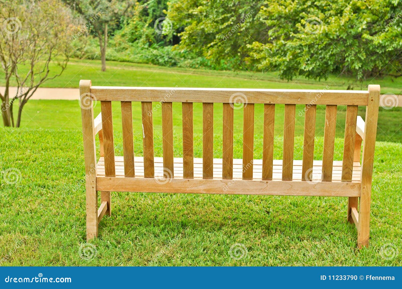 Bench on grass by a tree stock photo. Image of horizontal 11233790