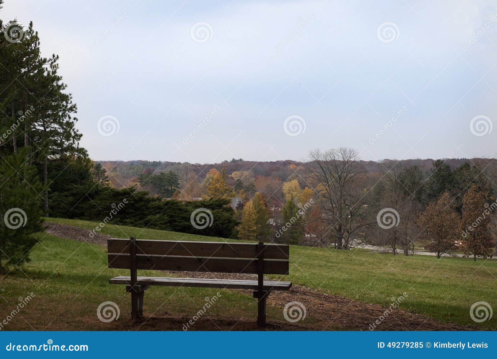 Bench on a Hill Overlooking Fall Trees. Stock Image Image of grass