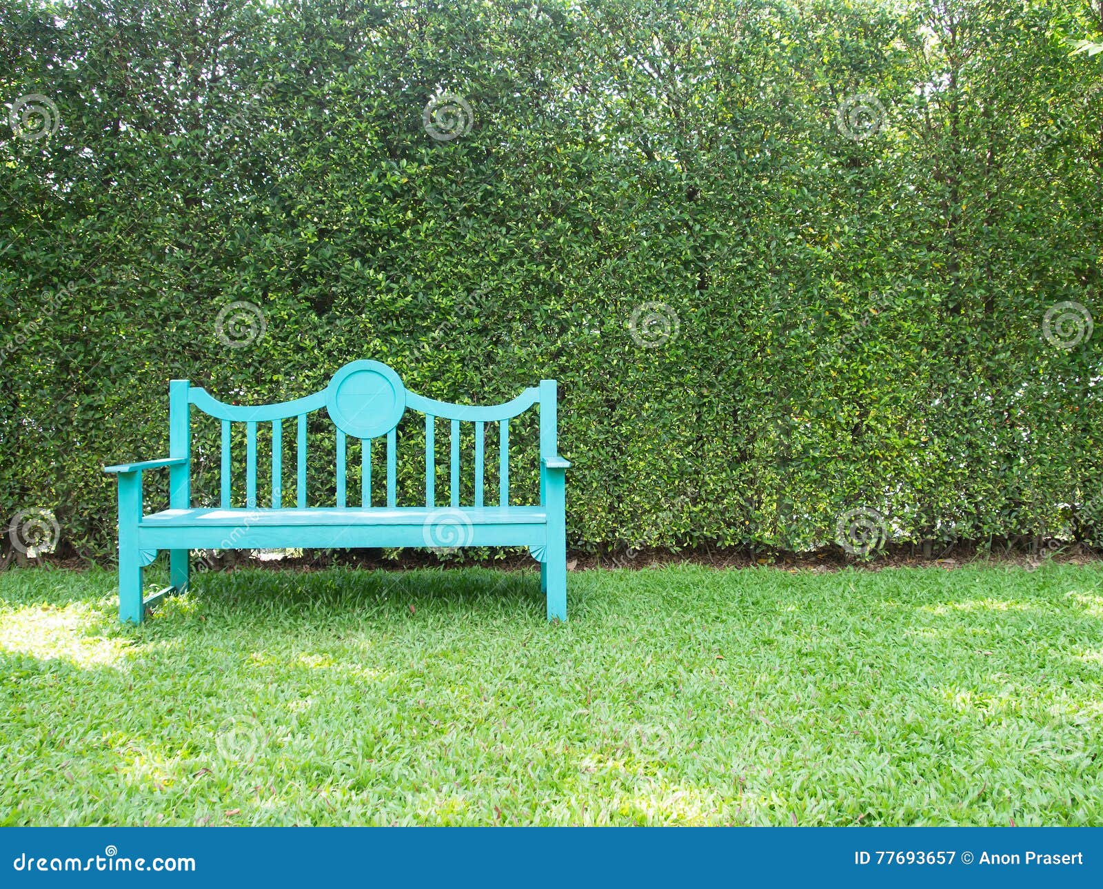 Bench im Garten stockbild. Bild von werft, nave, haupt 77693657