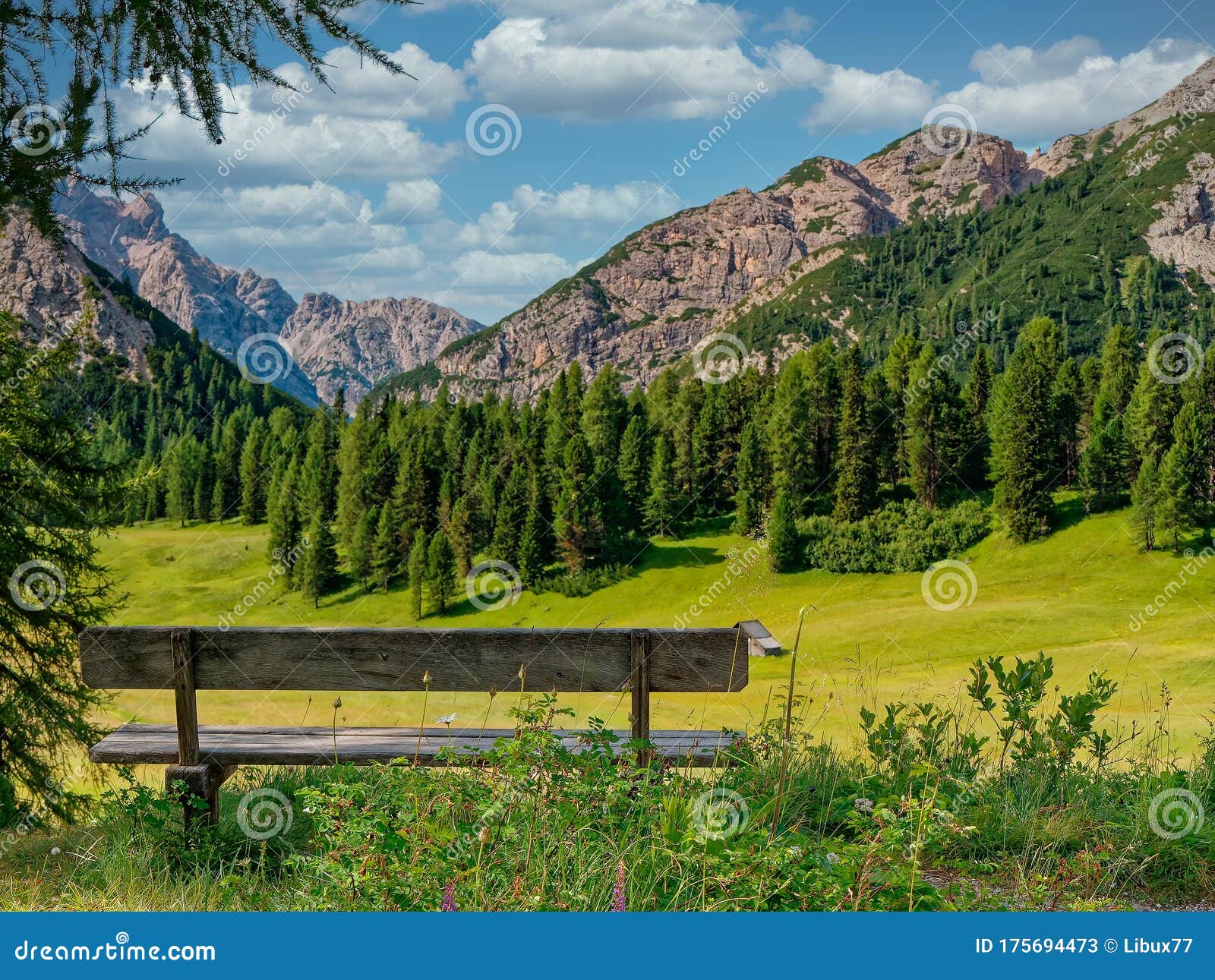 Bench Landscape in the Mountains in Summer Stock Image Image of