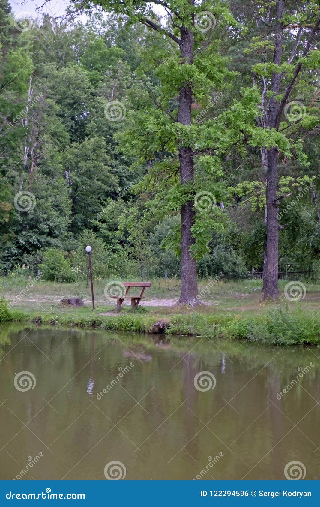 Bench by the Lake in the Forest Stock Photo Image of forest, seat
