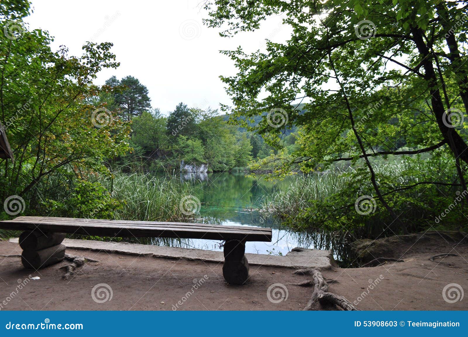bench looking into green lake and calming scenery