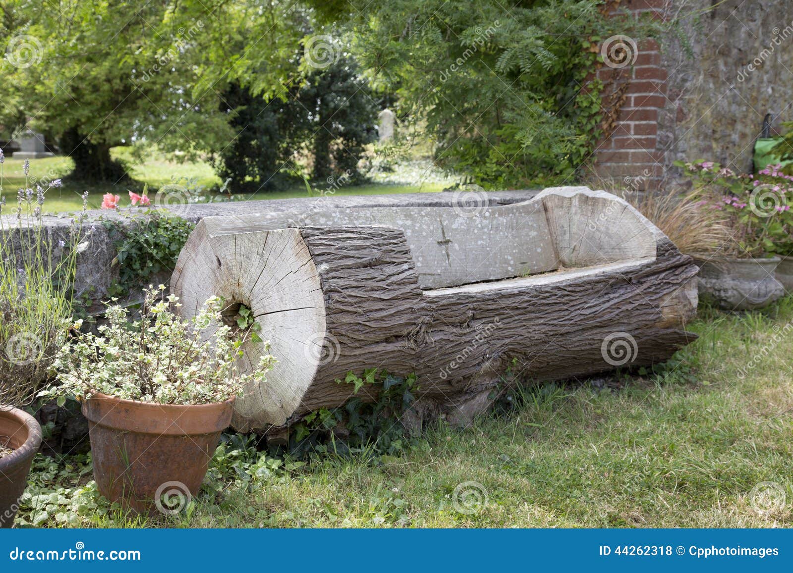 Bench Made Out Of A Tree Trunk Stock Photo Image Of Wooden