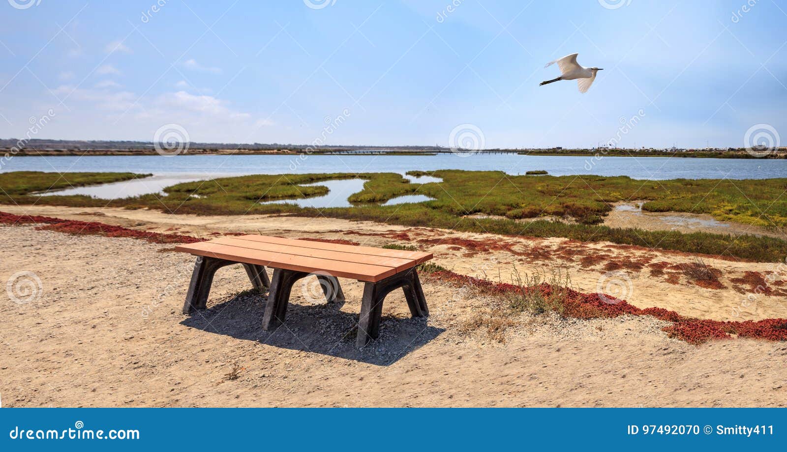 bench overlooking the peaceful and tranquil marsh of bolsa chica wetlands