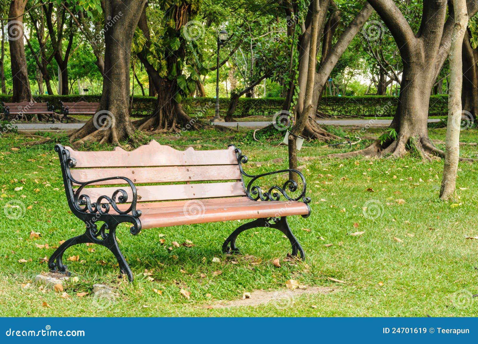 Bench in the park stock image. Image of park, garden 