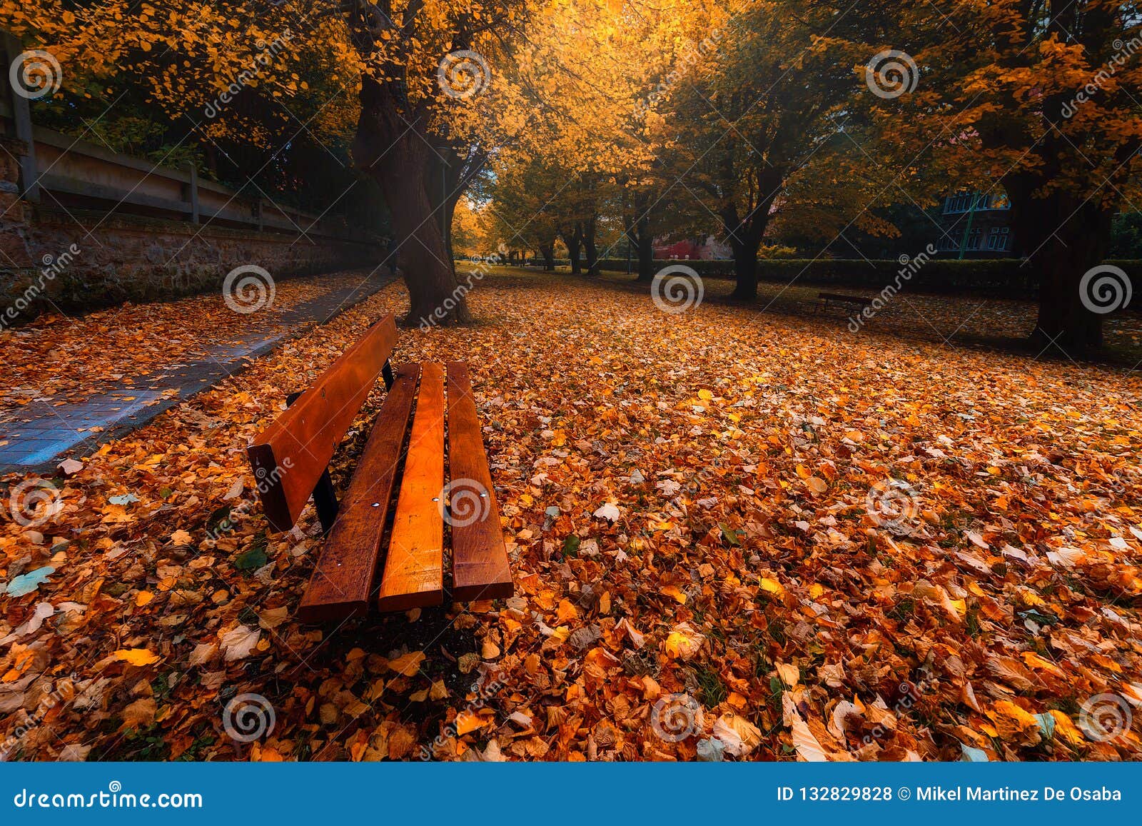 Bench in Park on Autumn with Leaves Stock Photo - Image of park, autumn ...