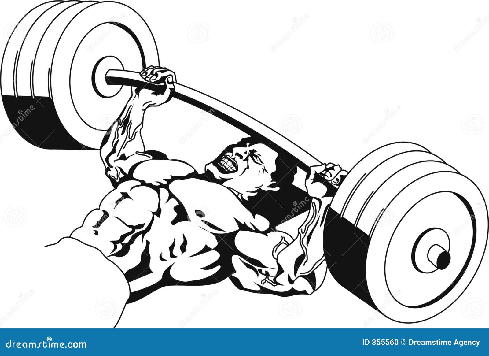 Bench Press Stock Illustration Illustration Of Weights 355560