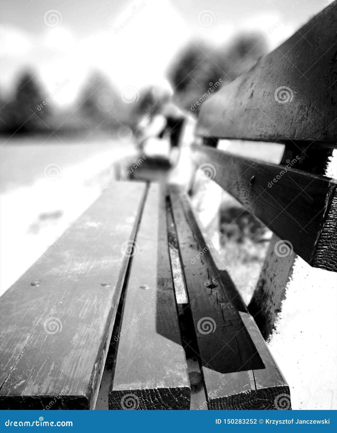 on the bench. rest in outdoor park. artistic look in black and white.