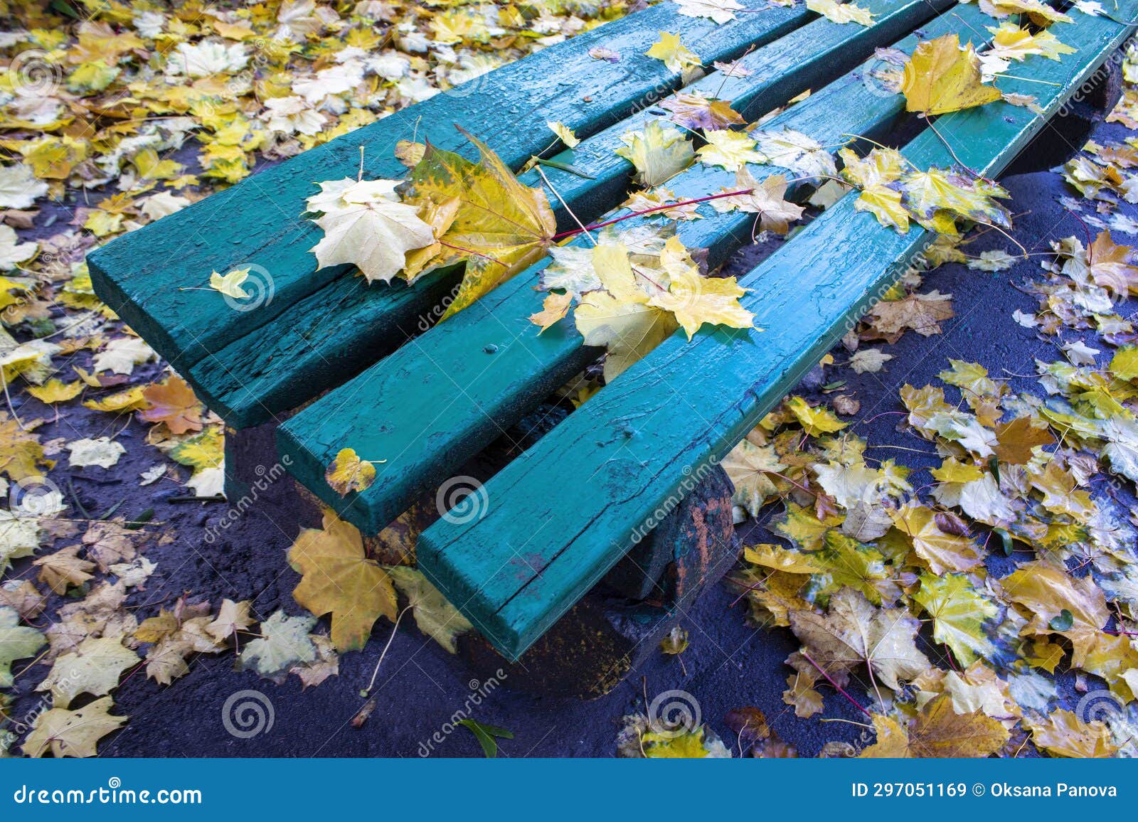 Bo Leaves Gold With Buddha Image, Golden Leaf, Bodhi Tree With Sun