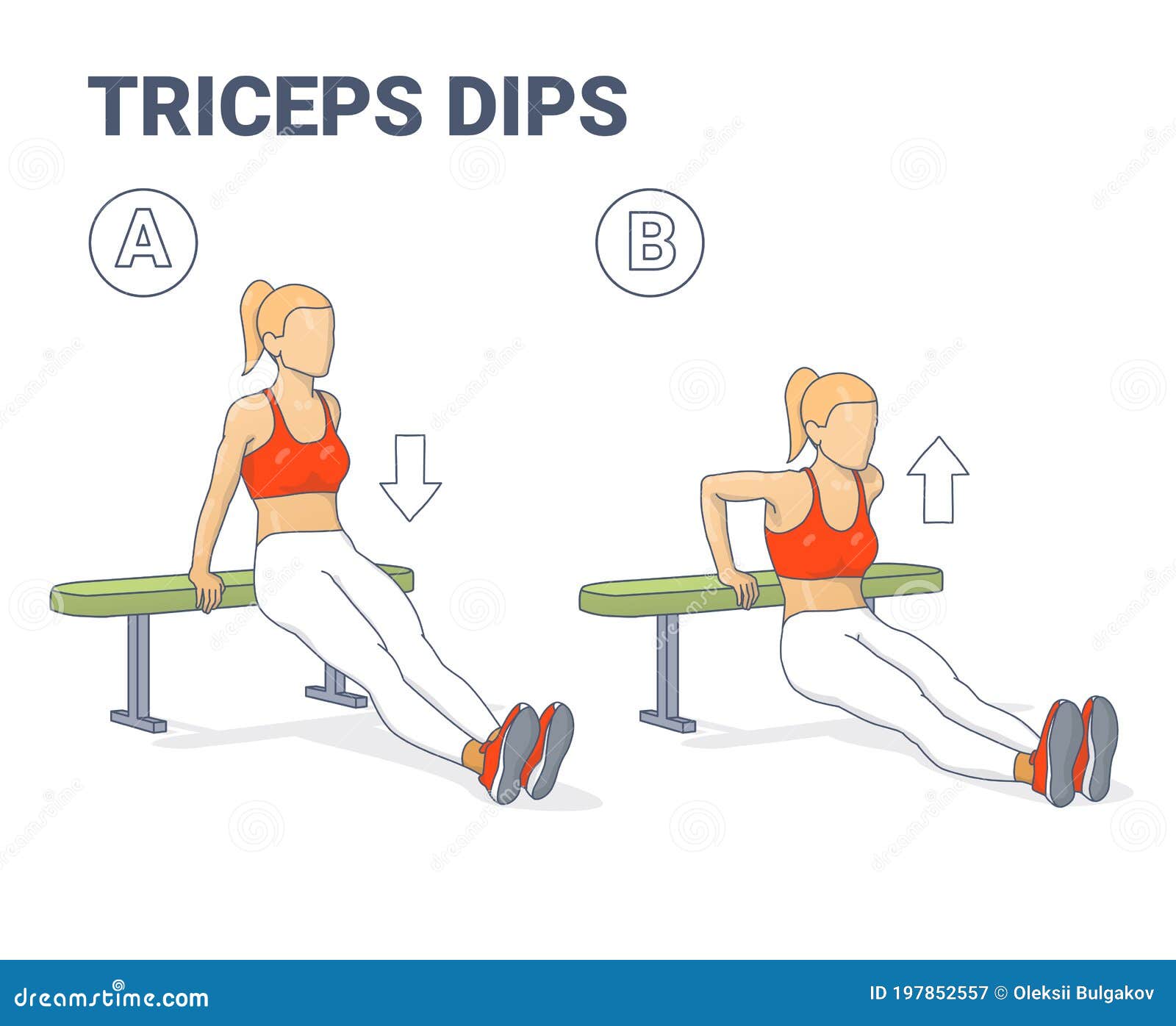 Tricep Dips  Illustrated Exercise Guide