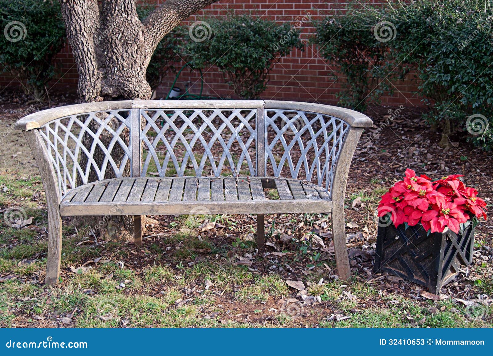 Bench in Yard at Christmastime Stock Image Image of furniture