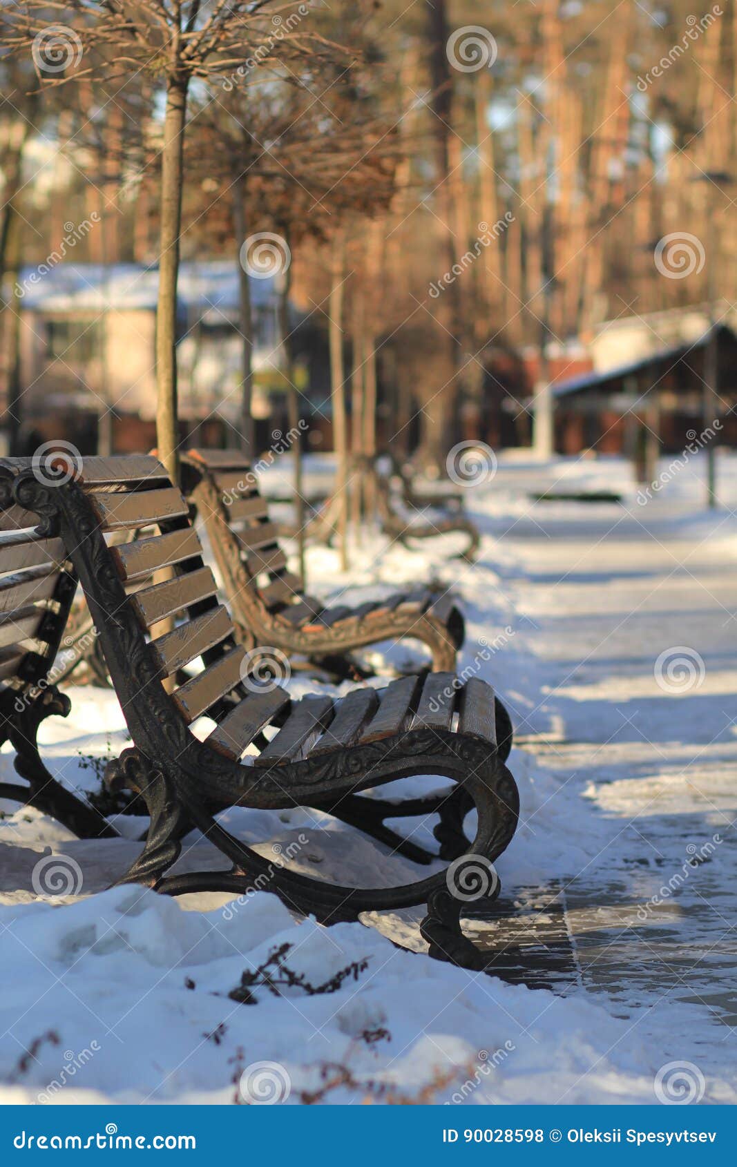 Benches in central park stock photo. Image of landscape 90028598