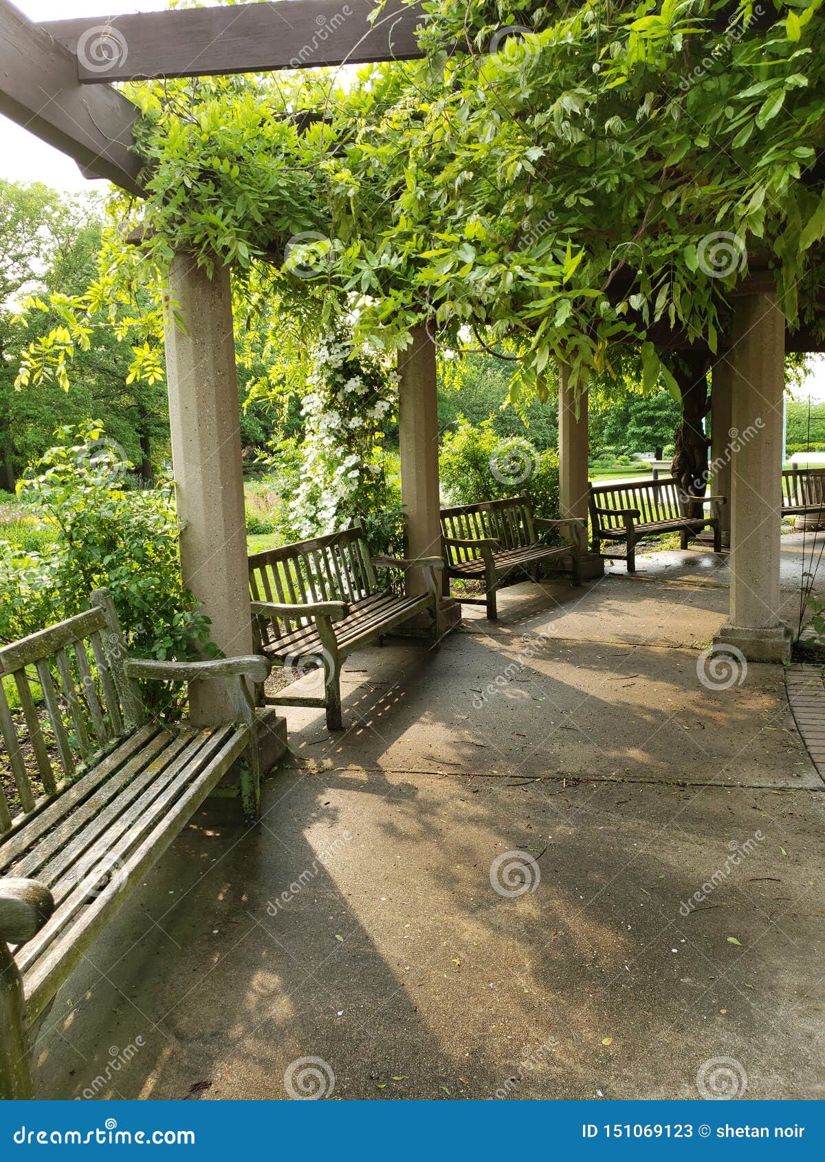 Benches at a garden park stock image. Image of garden 151069123