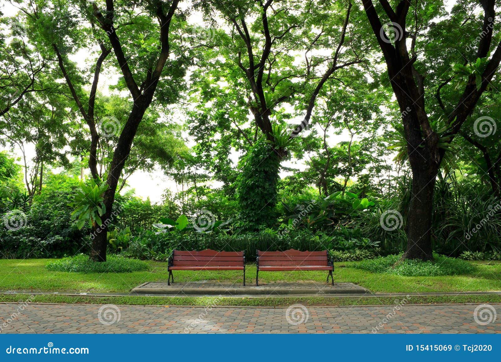 Benches in the green park stock image. Image of natural 15415069