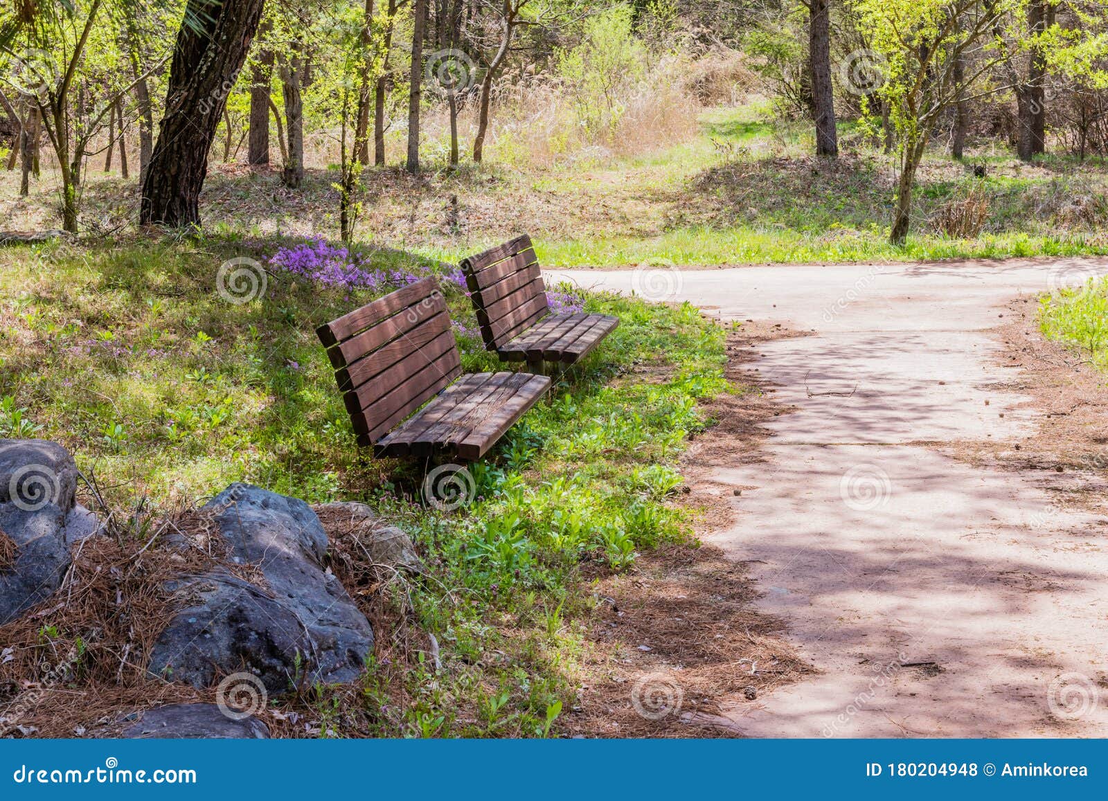 Benches Beside Hiking Trail Stock Photo Image Of Rest