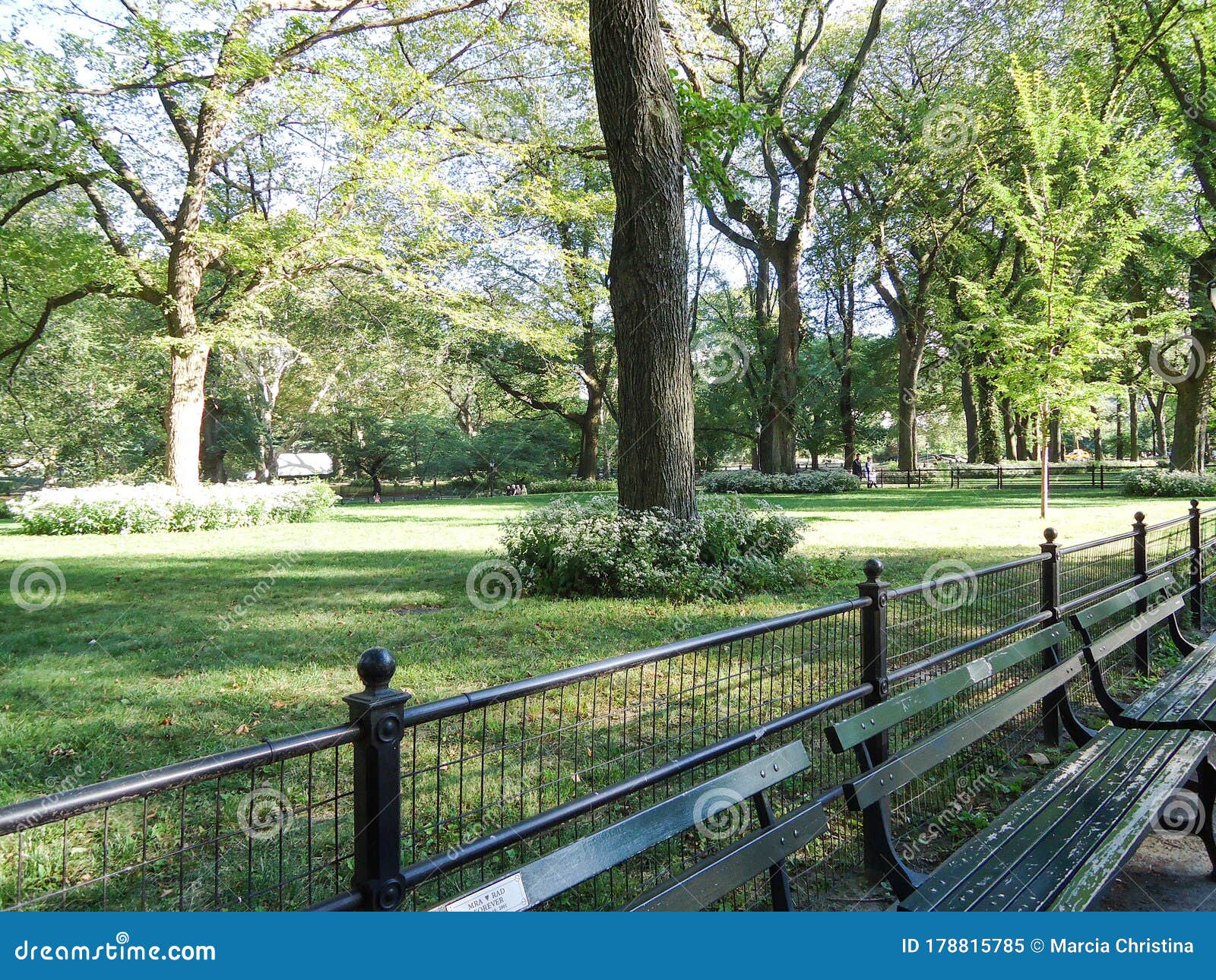 benches to relax in the park on a sunny day