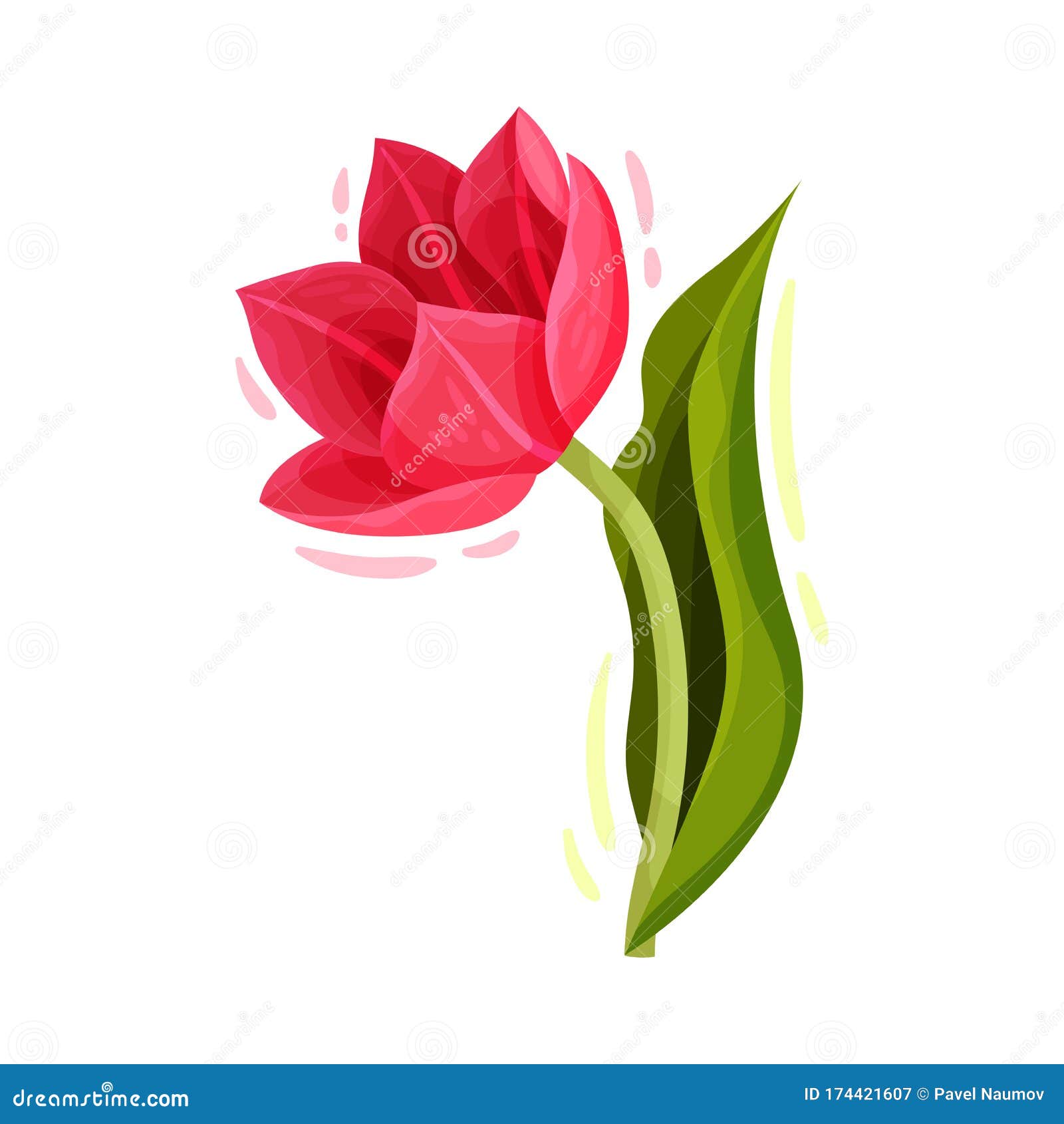 Hoa Tulip - Vẻ đẹp trang nhã trong từng cánh hoa. Hoa tulip với sắc đỏ, vàng, trắng, tím... sẽ khiến bạn thích thú và say đắm. Hãy xem ảnh liên quan để cảm nhận vẻ đẹp tinh tế của hoa tulip.