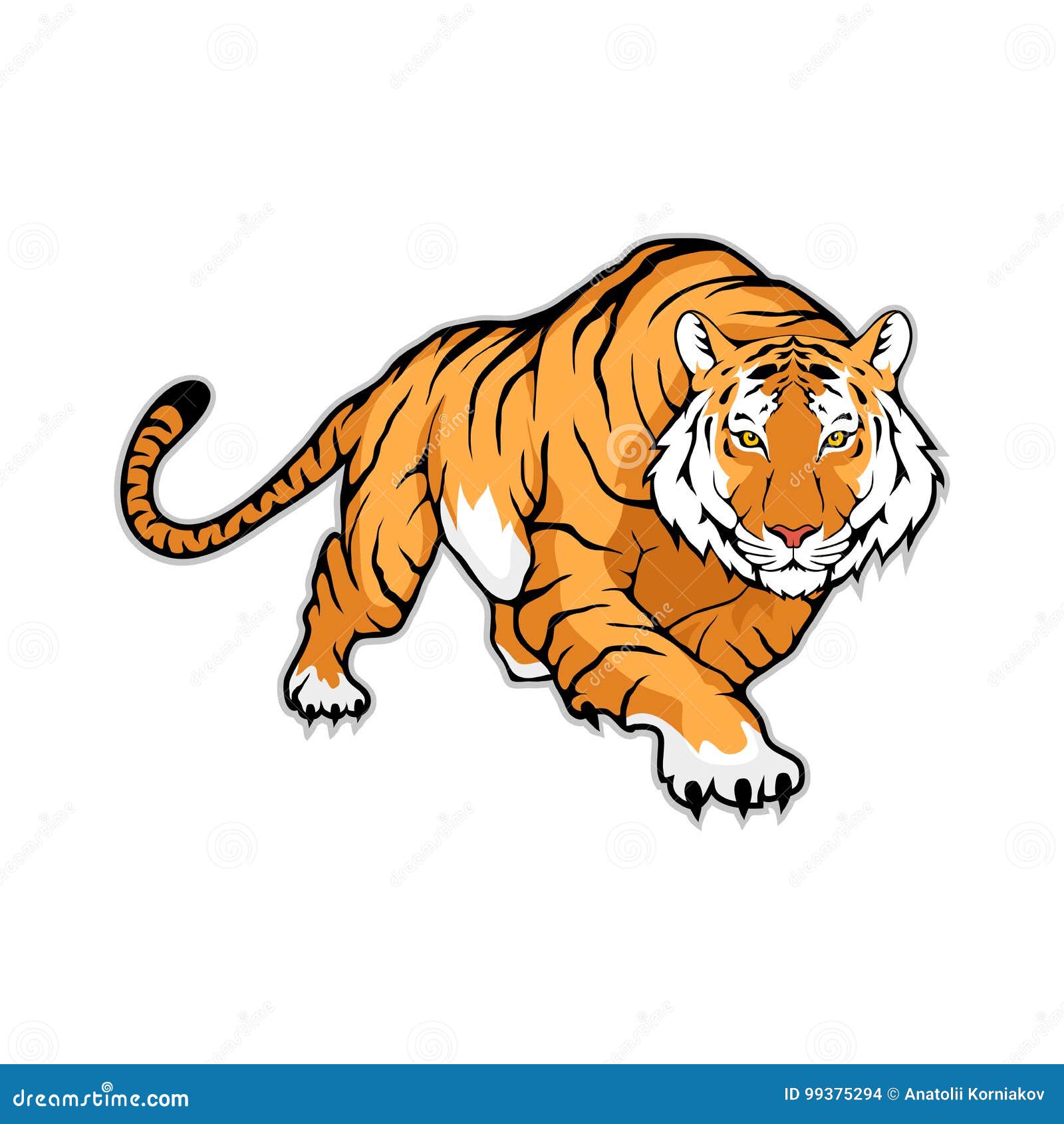 Tiger Drawing Stock Photos and Images - 123RF