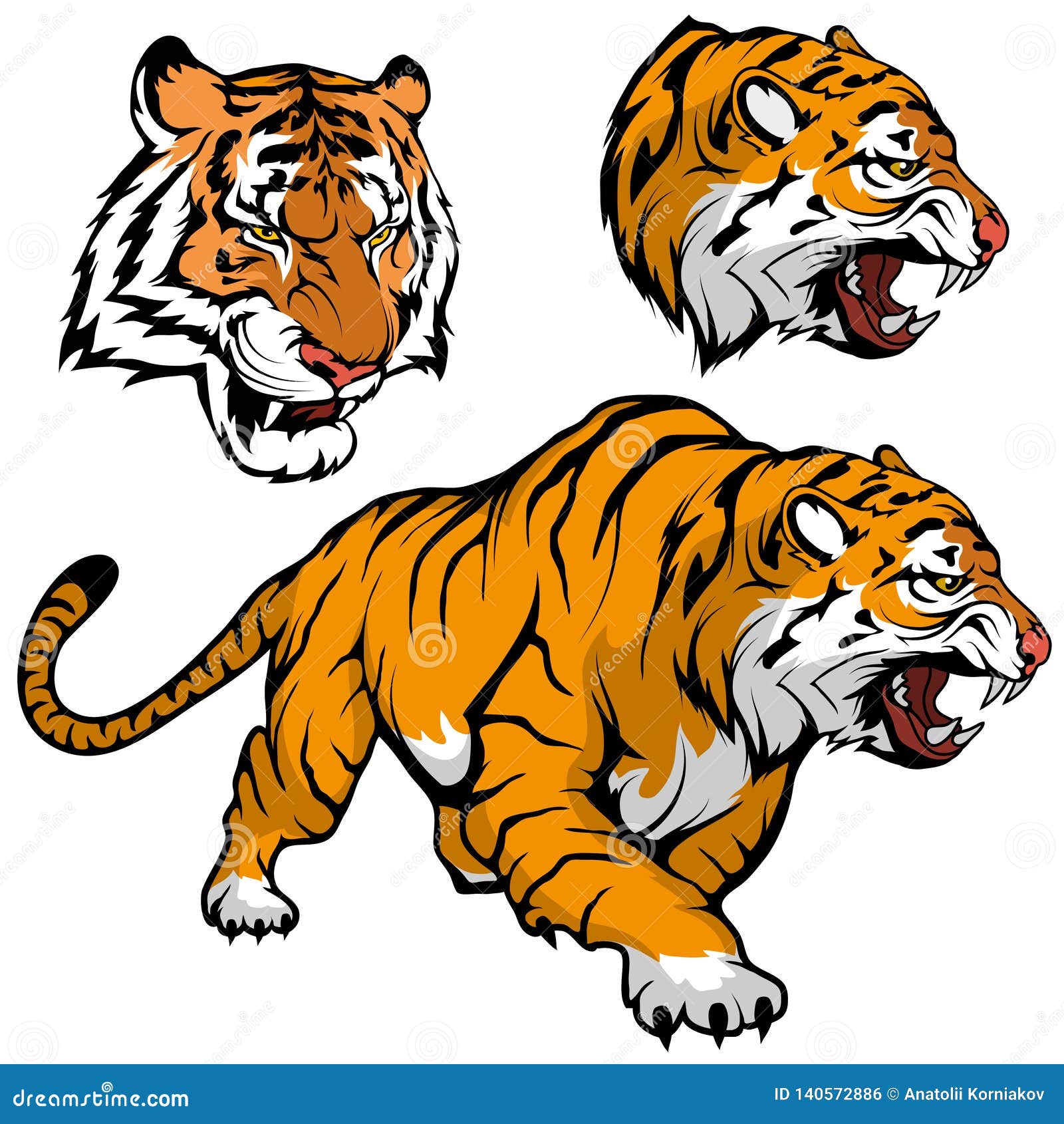 Stock Art Drawing of a Bengal Tiger