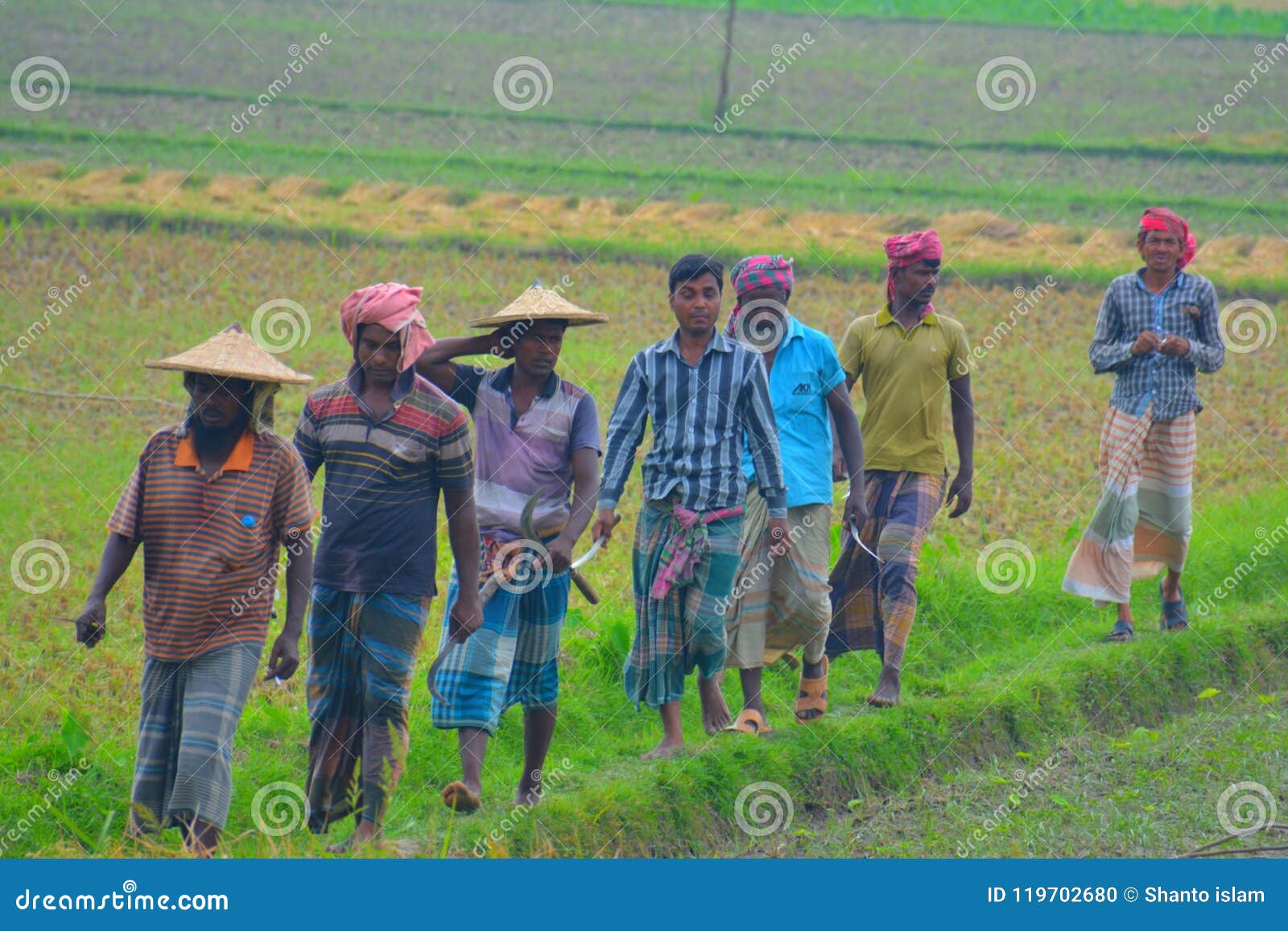 Bengali farmers editorial image. Image of farmers, farmer 119702680