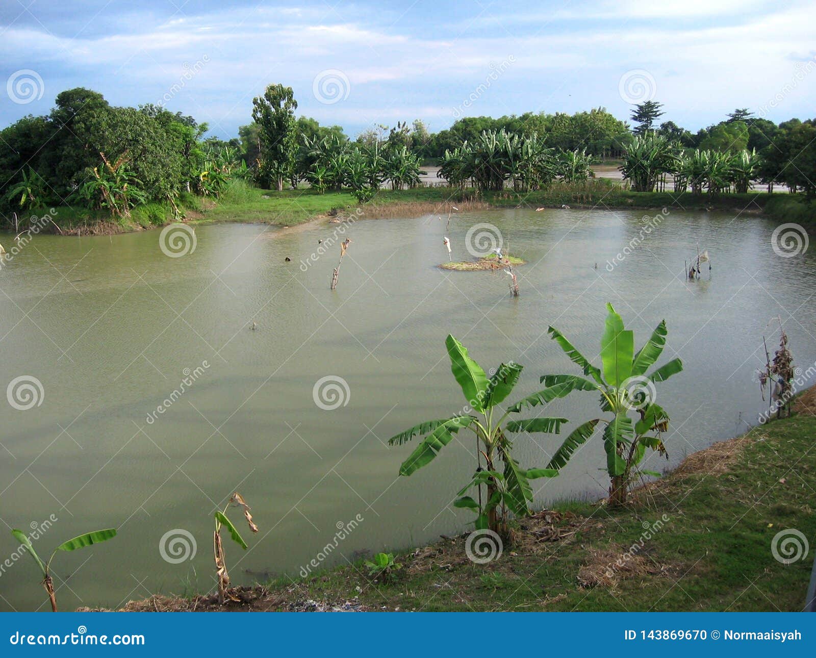 Bengawan Solo Stock Photos Download 124 Royalty Free Photos Bengawan Solo Stock Photos Download 124 Royalty Free Photos