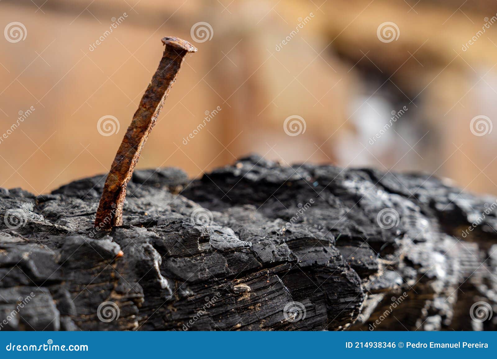 Bent and Rusty Nail on the Left Side Stuck in a Piece of Burnt Wood