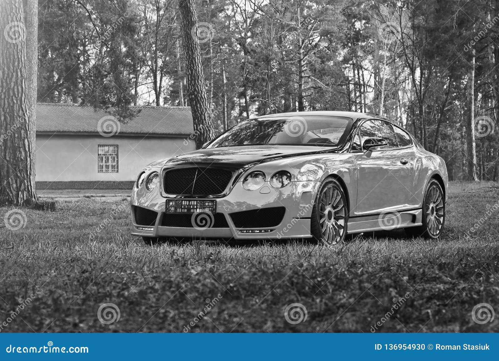 Continental Driver Download Continental Driver Download