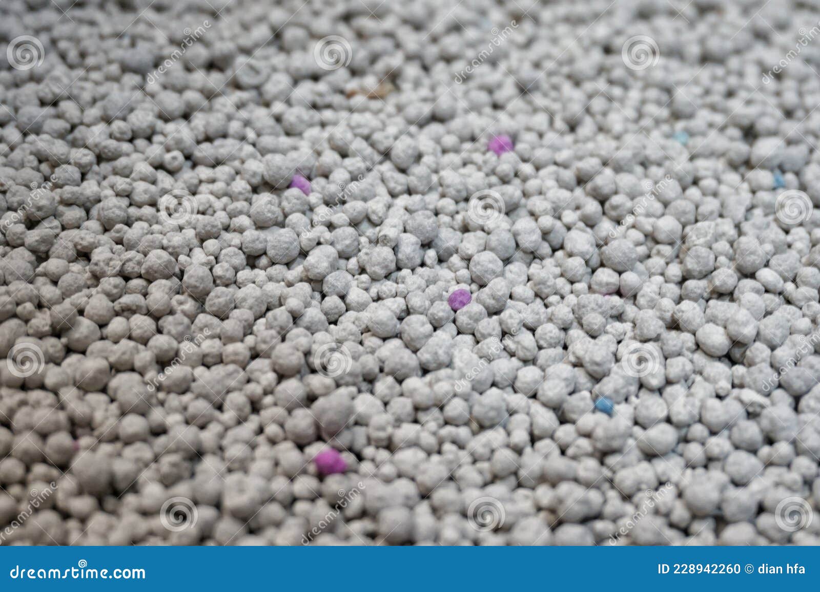 Bentonite Sand Litter for Cats Stock Photo Image of flower, plant 228942260