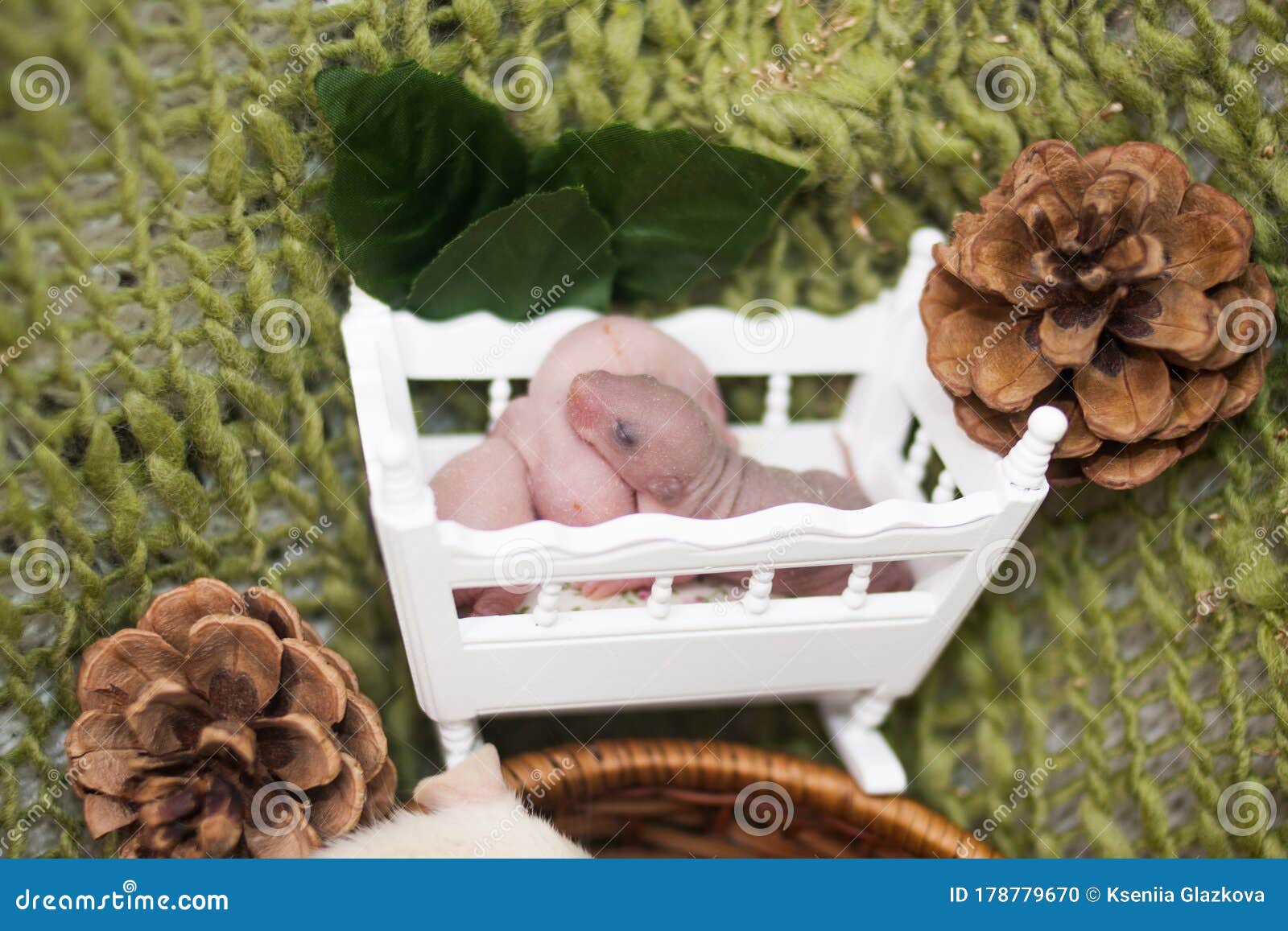 Berceuse. Petit Bébé Dormir Dans Un Lit En Bois. Mignon Photo stock - Image  du maison, chantez: 178779670