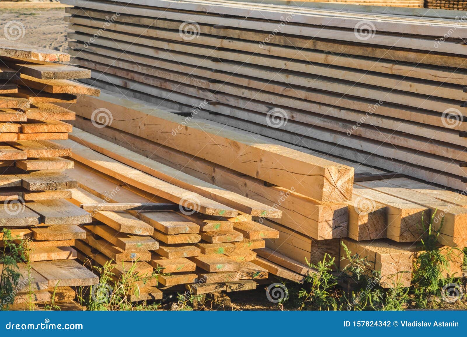 Berg hout van pijnbomen foto. Image horizontaal 157824342