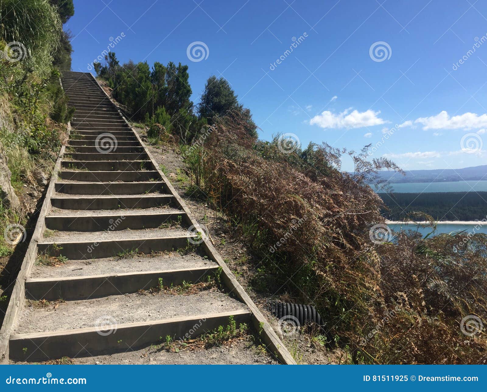 ` Das Berg ` ist der mündliche Name für Berg Maunganui, eine entspannte Strandstadt, die eine Halbinsel am südlichen Ende von Tauranga-Hafen besetzt Die Halbinsel ist wirklich eine enorme Sandbank, mit einer geschützten Bucht auf der inneren Hafenseite und einem ausgezeichneten Brandungsstrand auf der Ozeanseite Am Tipp der Halbinsel ist eine unterscheidende Spitze - Mauao - das auf 230 Metern über Meeresspiegel steigt Dort ` s eine Wahl von den Bahnen, die zu den Gipfel, mehr Herausforderung als andere führen Enorme Ansichten des Hafens, des Strandes und des Pazifischen Ozeans unternehmen die Anstrengung total lohnend