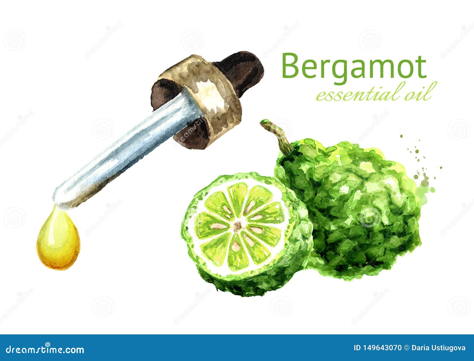 Bergamot Fruit And Essential Oil Drop Watercolor Hand Drawn