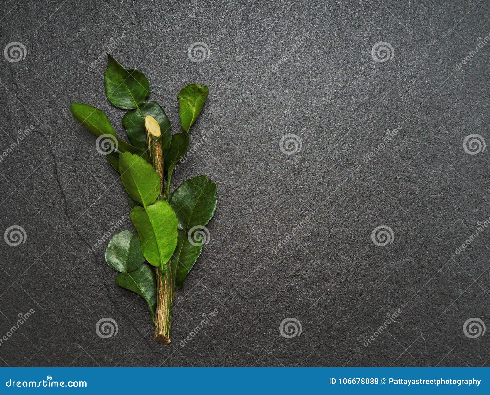 bergamot, kaffir lime and kaffir lime leaf with branch on dark background