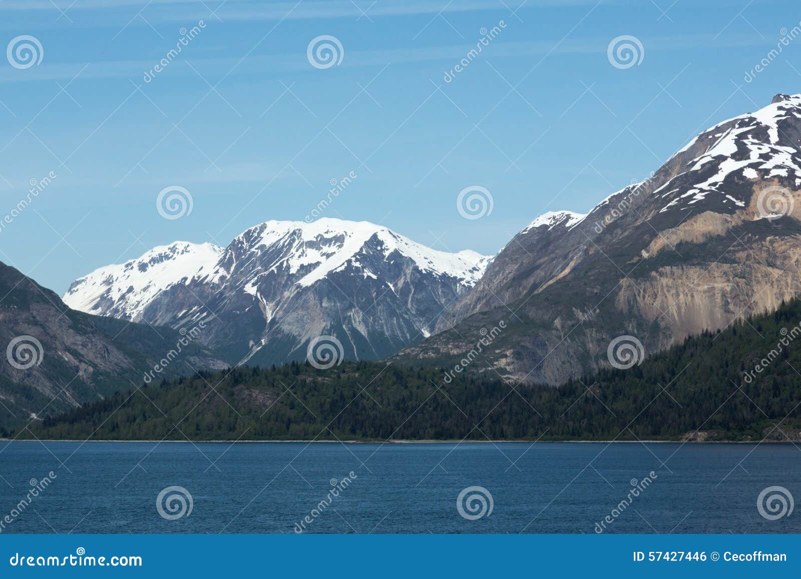 Bergen En Bossen In Gletsjerbaai Stock Foto Image Of Toerisme