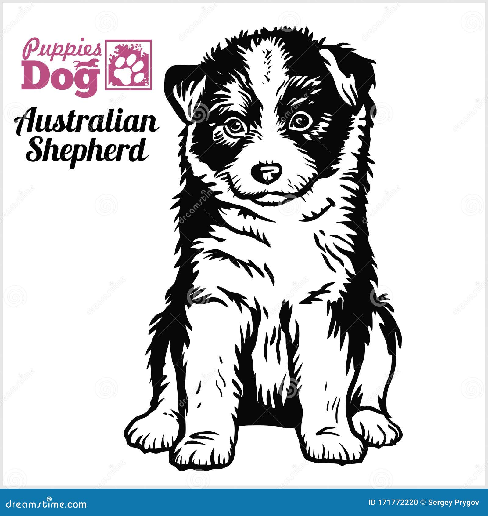 Dessin Berger Australien Noir Et Blanc Berger Australien Chiot Assis. Dessin à La Main. Image Vectorielle Noir Et Blanc. Illustration de Vecteur - Illustration du assez, chiot: 171772220