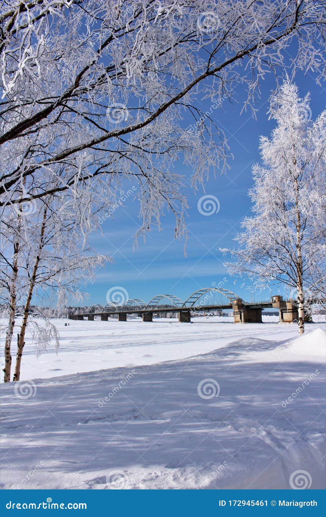 bergnÃÂ¤sbon in fabulous winter landscape