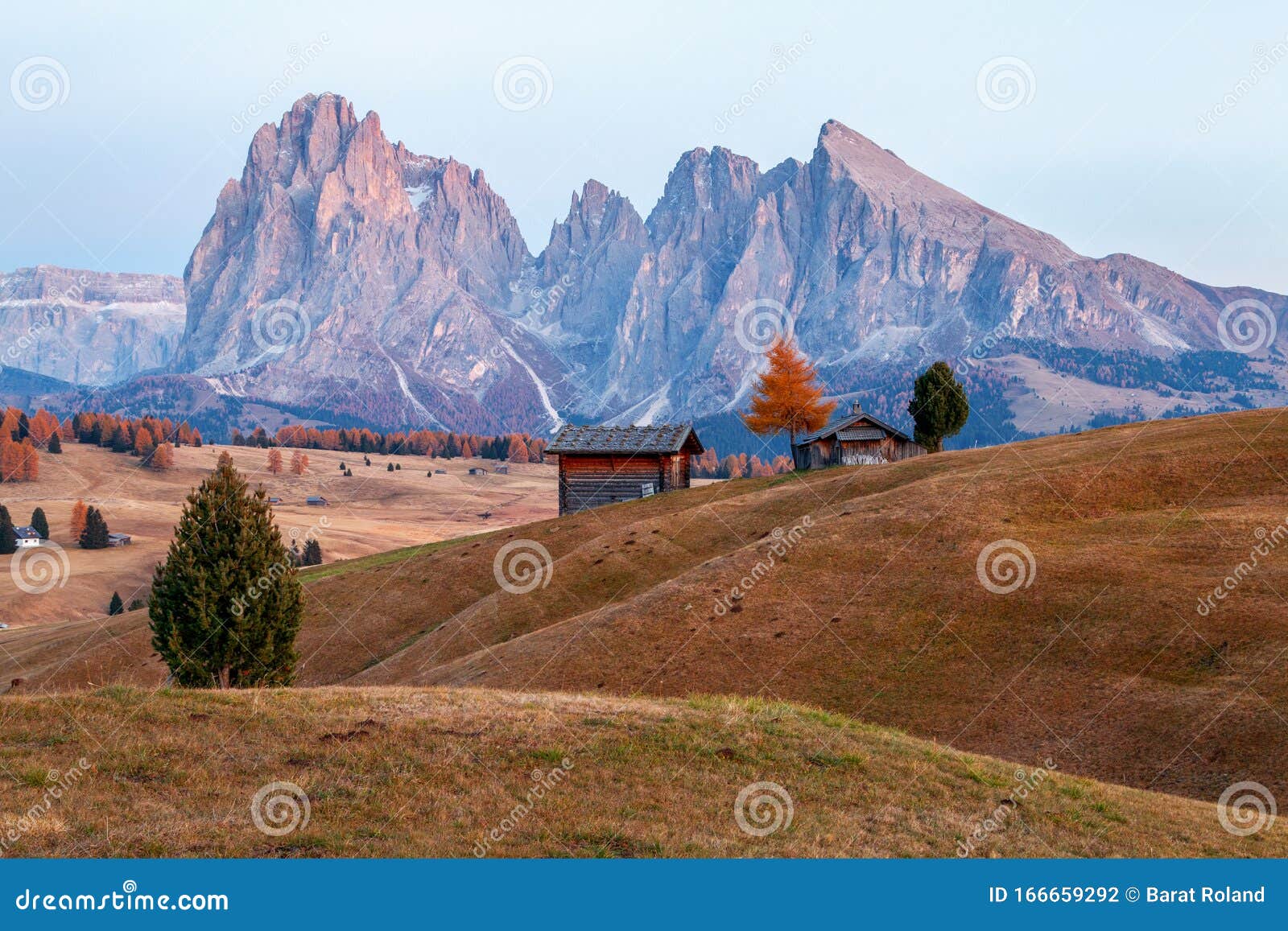 Bergwiese Und Haus Alpe Di Siusi Oder Seiser Alm Im Hintergrund Langkofel Bei Sonnenuntergang ...