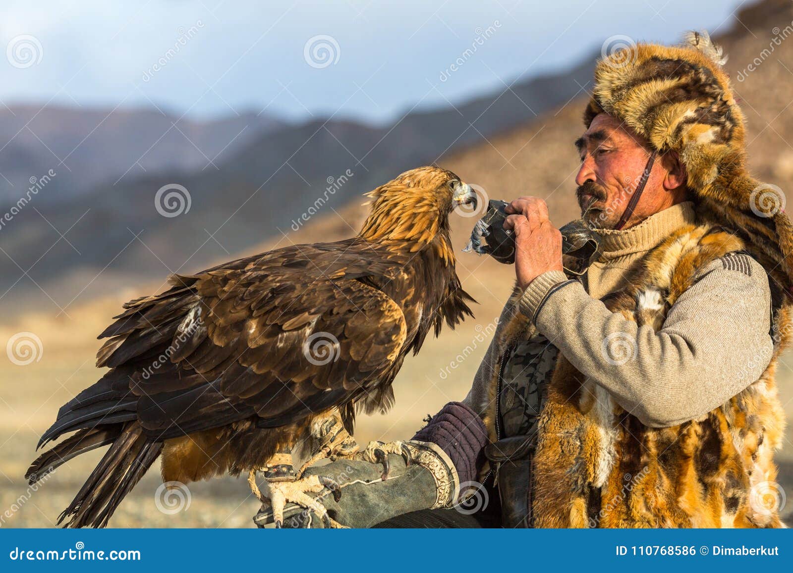 Berkutchi Eagle Hunter Mentre Cercando Alla Lepre Con Le Aquile Reali ...