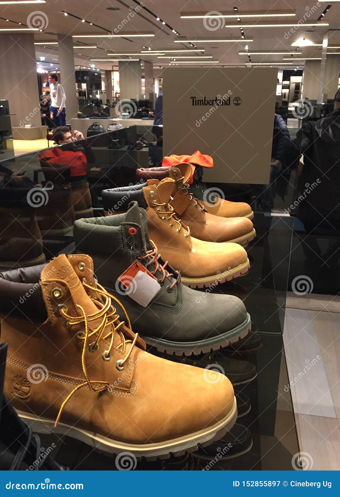 timberland shoes shop