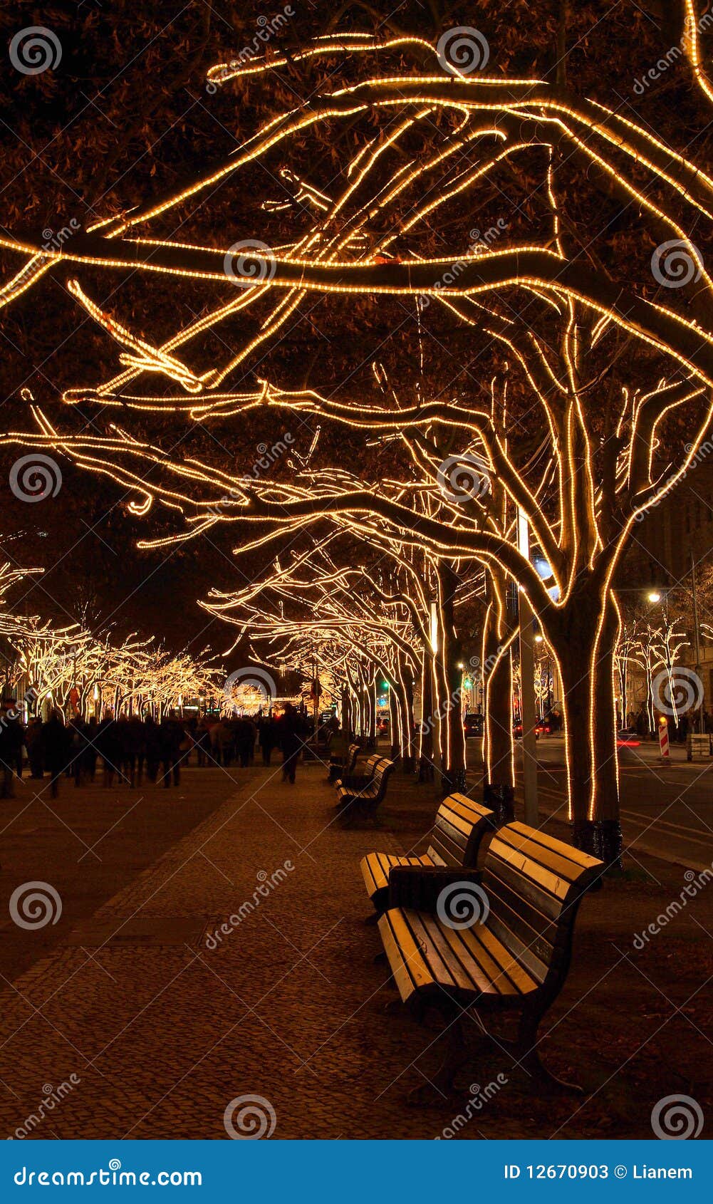 Berlin Under the Linden Trees Christmas Stock Image Image of market