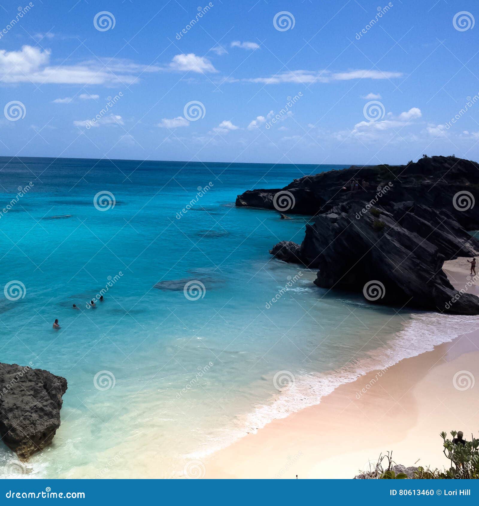 Bermuda horseshoe bay stock photo. Image of coral, pink 80613460