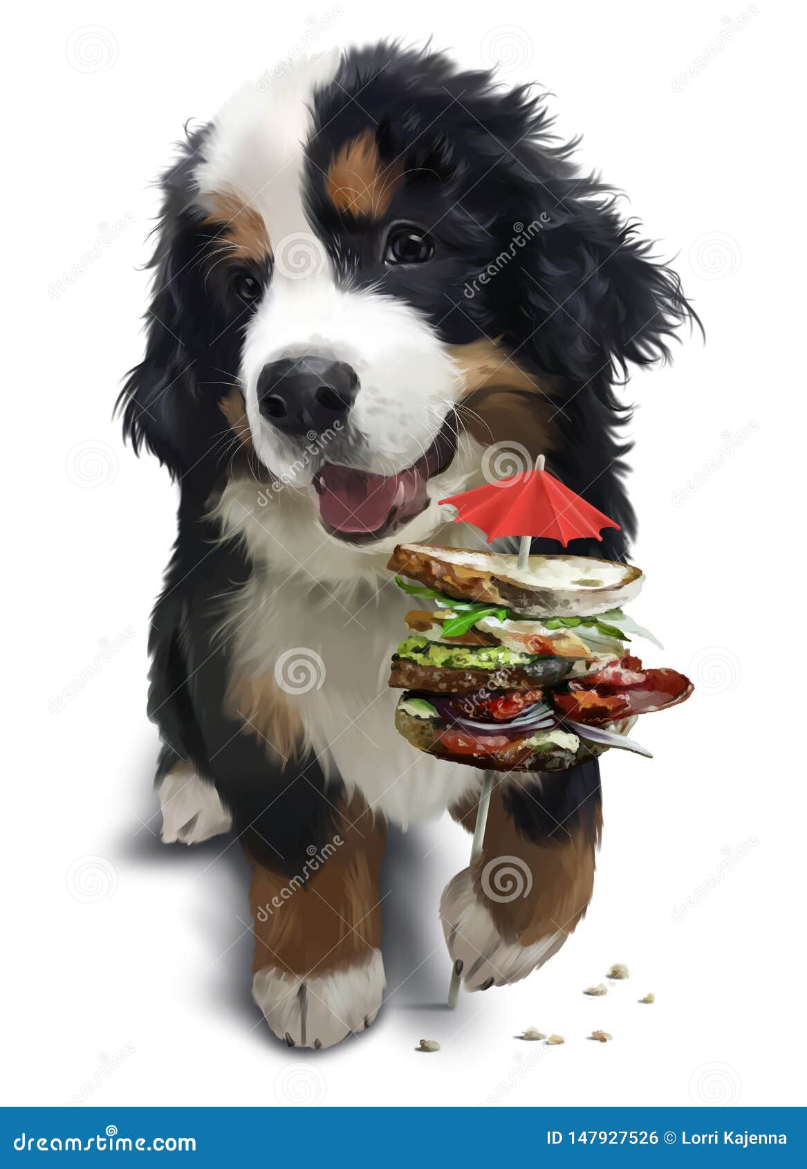 Bernese Mountain Dog And A Big Sandwich Stock Illustration Illustration Of Watercolor Digital 147927526