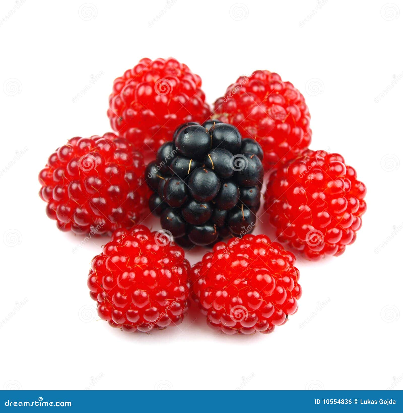 Berries stock photo. Image of sweet, mulberry, healthy 10554836