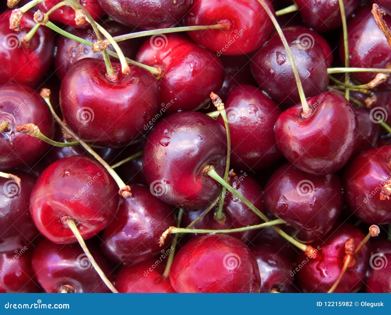 Berries cherries stock photo. Image of flora, berries 12215982