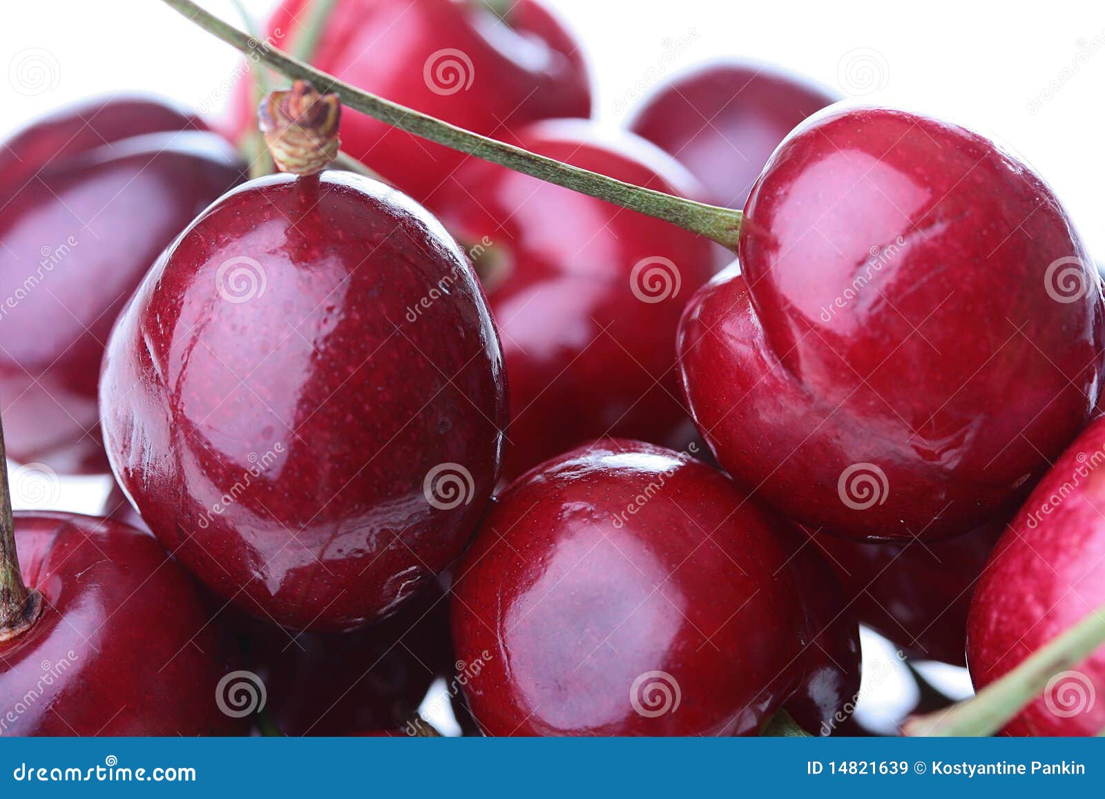 Berries of a cherry stock image. Image of berry, fruit 14821639