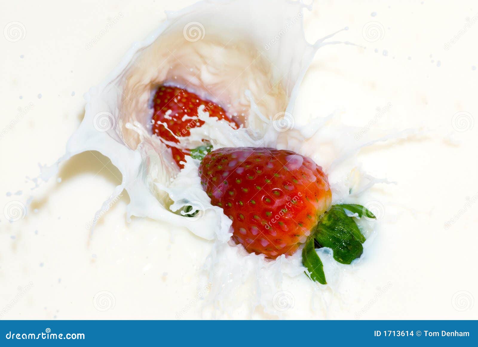 Berries and Cream stock photo. Image of yummy, liquid 1713614